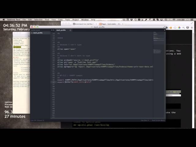 Installing WP-CLI on a Mac (for XAMPP)