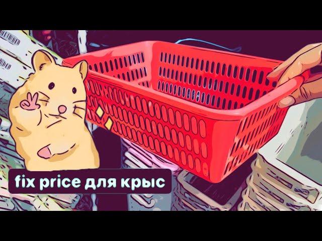 Покупки из Fix Price для крыс 