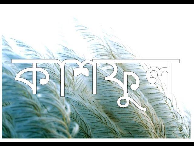 Kashful I কাশফুল