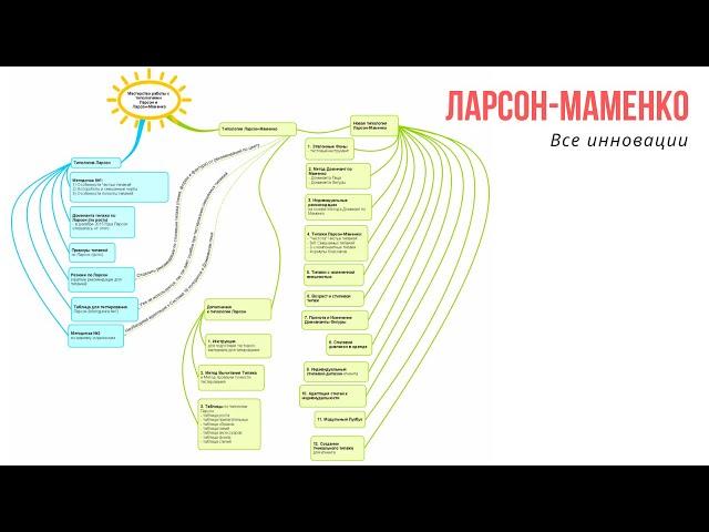 Типология Ларсон и  Ларсон-Маменко. Все инновации