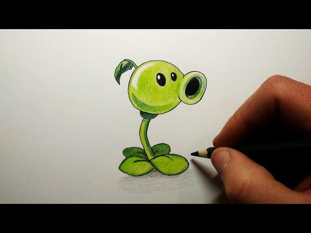 Как нарисовать Горохострел из игры Plants vs Zombies | Peashooter drawing