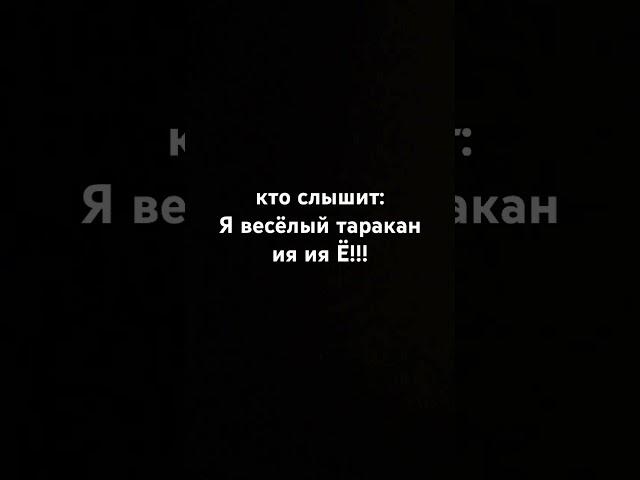 29 мая 2024 г.