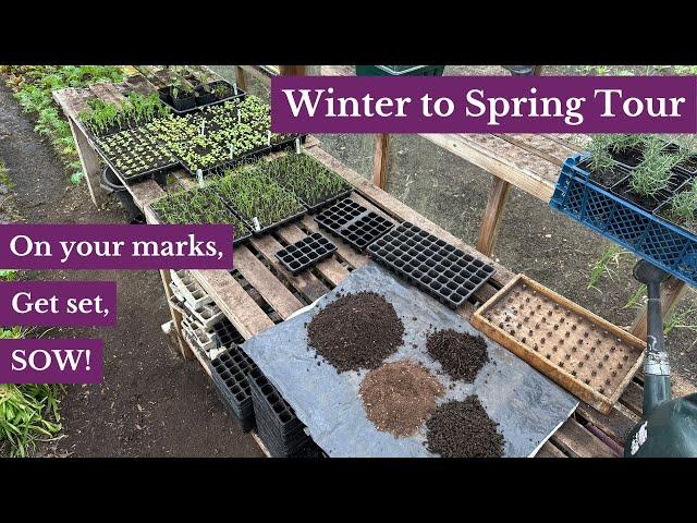 First sowings and prepping beds for spring planting