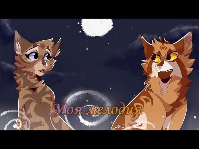 Клип Коты Воители|CW|"Моя Мелодия"|Львиносвет и Верескоглазка| Lionblaze and Heathertail|заказ