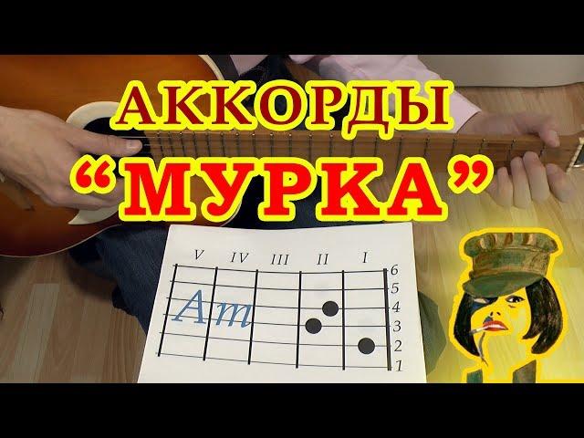 МУРКА | Аккорды | Гитарный бой | Разбор на гитаре видео урок для начинающих