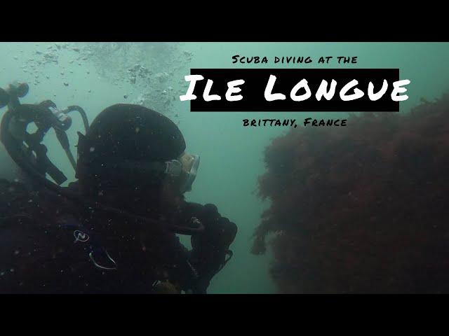 Long Island Scuba diving | Crazydivers