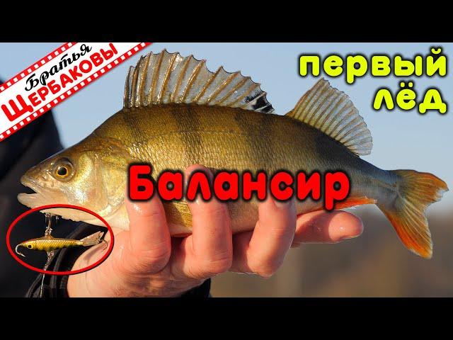 Ловля на БАЛАНСИРЫ. Первый ЛЁД! ) Как выглядит ПРАВИЛЬНЫЙ ОТЦЕП?