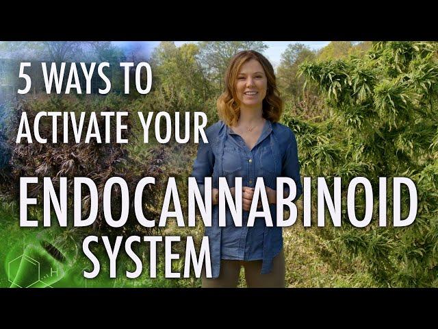 5 Ways to Activate Your Endocannabinoid System! | CBD Series