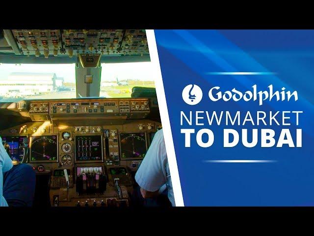 Newmarket to Dubai | Airport Departure