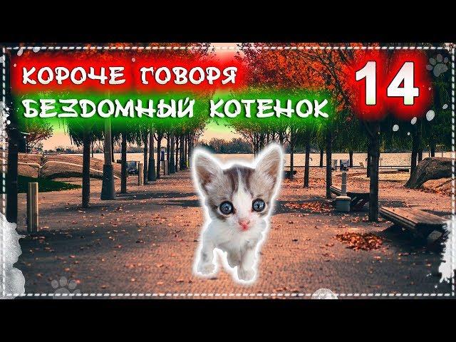 КОРОЧЕ ГОВОРЯ, Я БЕЗДОМНЫЙ КОТЕНОК Лайки 14 [От первого лица] История одной жизни