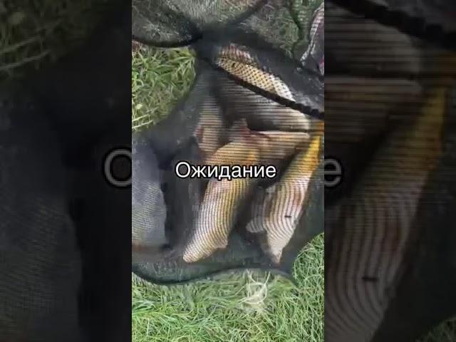 прикол про рыбалку #рыбалка #fishing #mem #прикол #ожидание