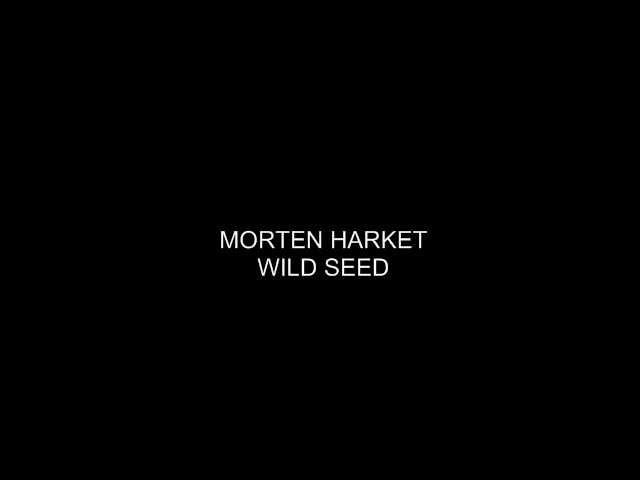 Morten Harket - Wild seed