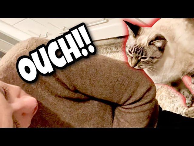 No Biting, Bubbles! (OFFICIAL MUSIC VIDEO)
