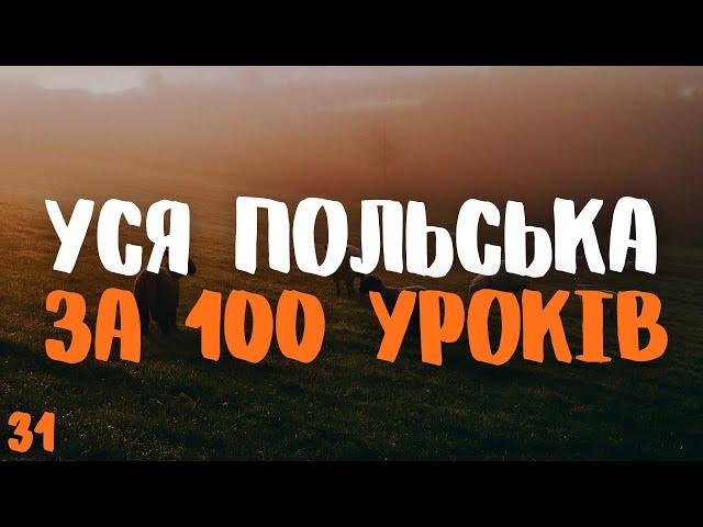 Уся Польська мова за 100 уроків! | Урок 31 | Польські слова та фрази | Польська мова з нуля.