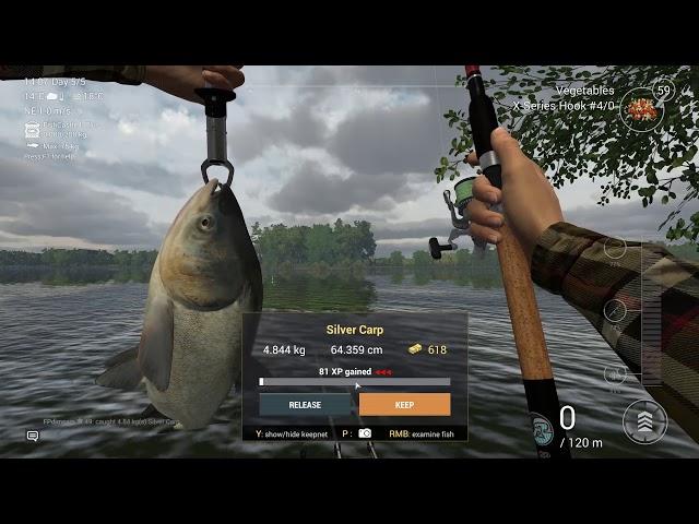 Fishing Planet. Ловля толстолобика и карпа. Озеро Зандер Баггер.