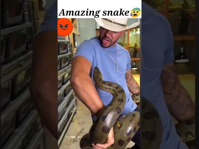 amazing snake|| #respect #shortfeed #viral #shorts #amazingsnake