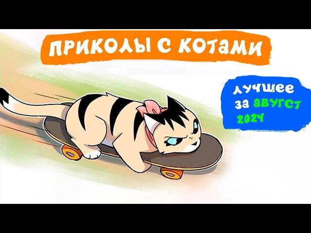 Приколы с котами. ЛУЧШЕЕ ЗА АВГУСТ 2024 | Мемозг