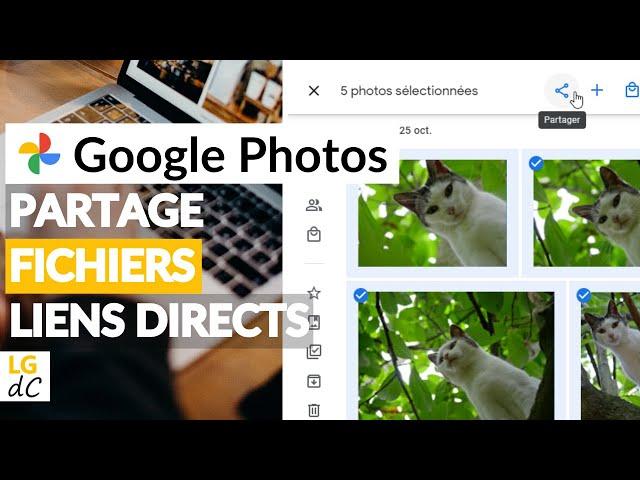 Google Photos - Partager des fichiers en liens directs (accès sans compte et sans application)