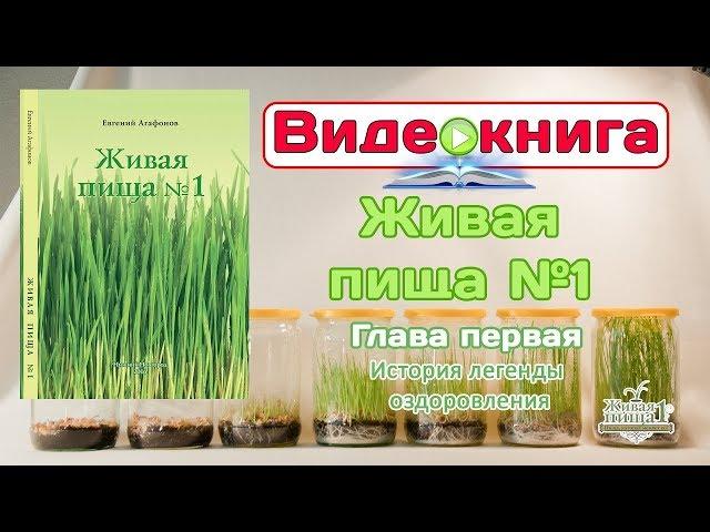 Евгений Агафонов, Видео-книга "Живая пища №1". Глава 1. "История легенды оздоровления." (видео 76)