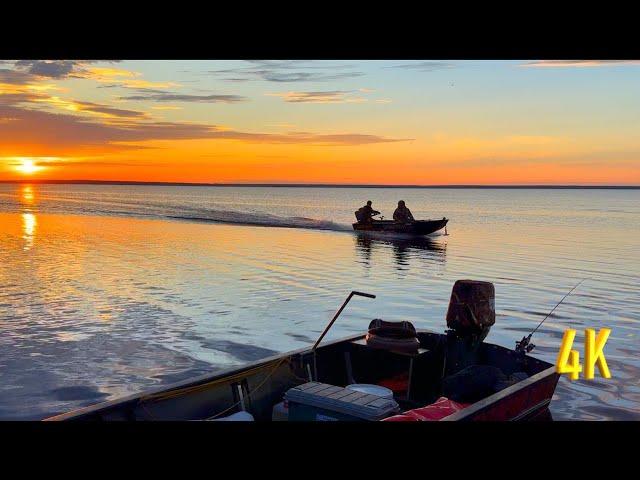 РЫБА СОШЛА С УМА В ЯМ ОЗЕРЕ, ДА! THE FISH WENT CRAZY IN THIS LAKE | 2 ЧАСТЬ