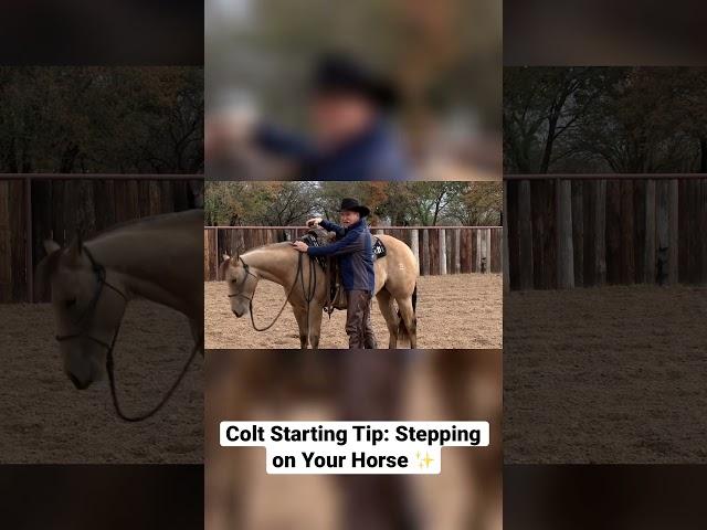 Colt Starting Tip: Stepping on Your Horse with Richard Winters. Watch the full video on our channel