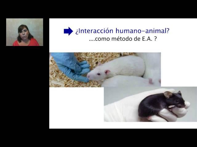 Carolina Mourelle - Biology and Management of Laboratory Rats and Mice