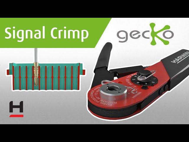 Crimping & Assembly Guide ǀ 1.25mm Gecko connector