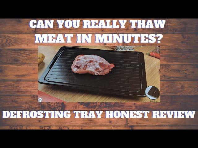 Can you really thaw meat in just minutes? Defrosting Tray Honest Review | As Seen on TV?