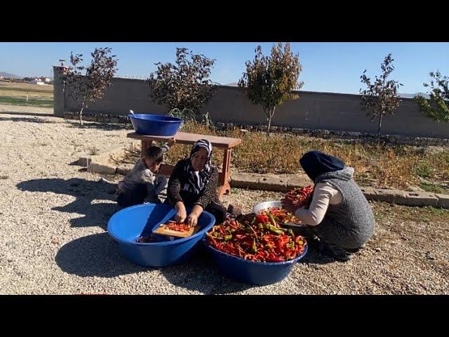 YETER ARTIK GINA GELDİ⁉️BİTMEK BİLMEYEN İŞLER GÜÇLER DERMAN BACIMA YARDIM ETTİM