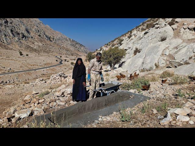 Iran's nomadic life: Jahangir and Maryam's efforts to provide drinking water for sheep