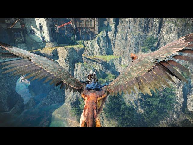 When you can fly, you find strange things in the Witcher 3