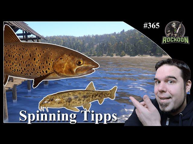 Tunguska Spinning Spots & Anregungen | Russian Fishing 4 | #koontainment