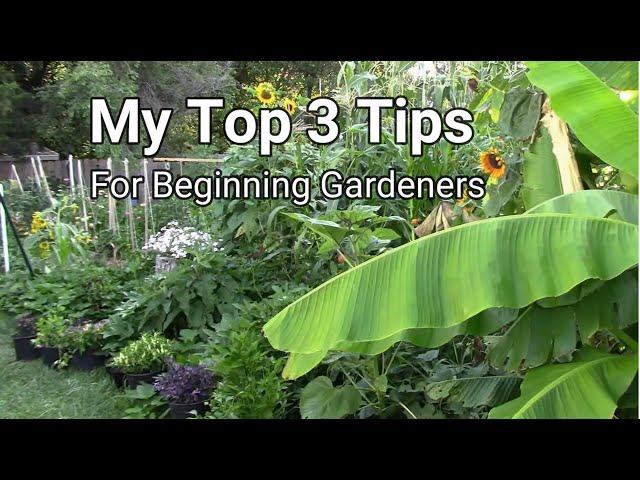 My Top 3 Gardening Tips For Beginning Gardeners - Tips For Beginners