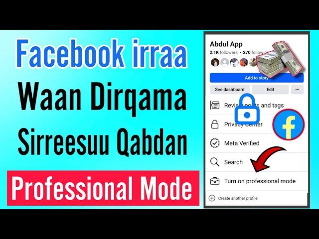 Facebook irraa waan dirqama sirreessuu Qabdan Professional mode