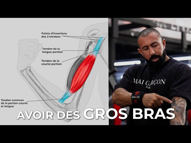 COMMENT AVOIR DE GROS BRAS ? BICEPS