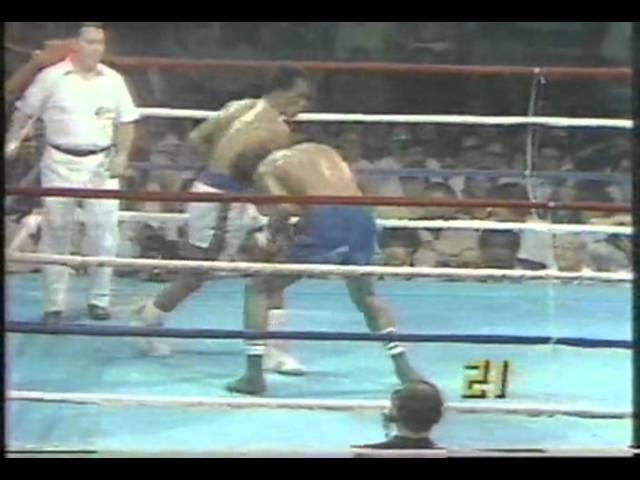 Sugar Ray Leonard vs Marcos Geraldo