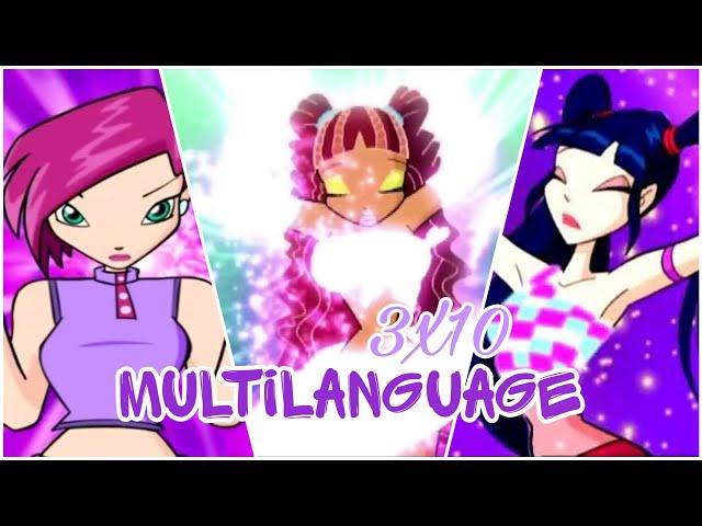 Winx Club 3X10 - Magic Winx & Enchantix Multilanguage (34 VERSIONS)