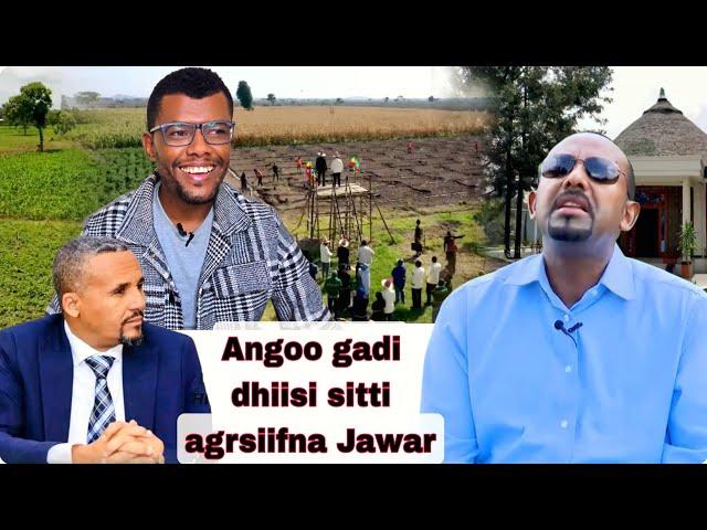 Angoo gadi dhiisi...gaafii Abiyi Jawariif dhiyeesse Jawar deebisaa kenne.maqaa daabboo