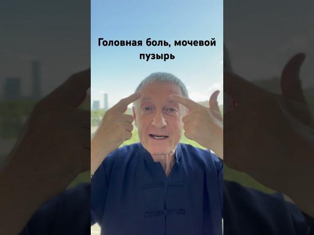 Боль в области лба, головокружения, мочевой пузырь - точка помощи #йогабытовыхдвижений