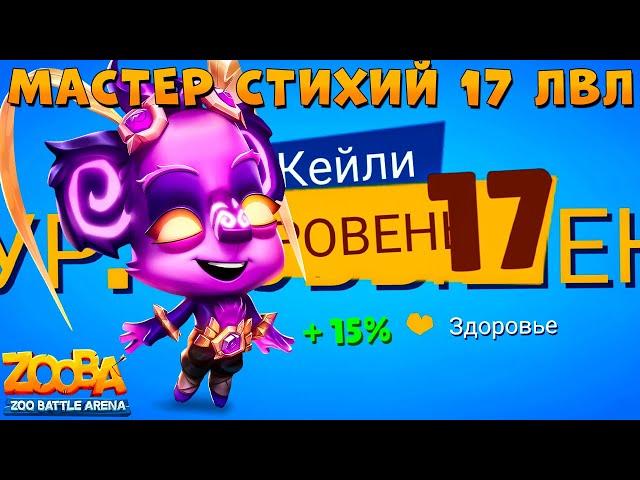 КАЧАЕМ 17 УРОВЕНЬ - МАСТЕР СТИХИЙ КЕЙЛИ В ИГРЕ ZOOBA