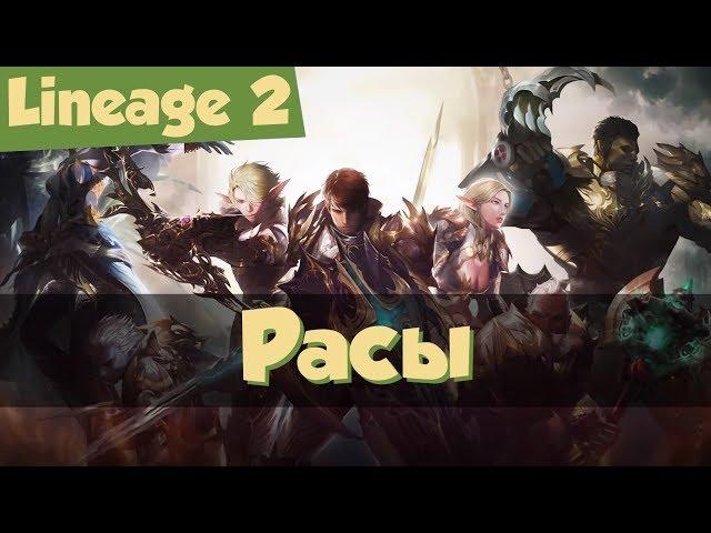 Lineage 2: кем начать играть, часть 1: расы. Гайд для новичков (Homunculus, Prelude of War).