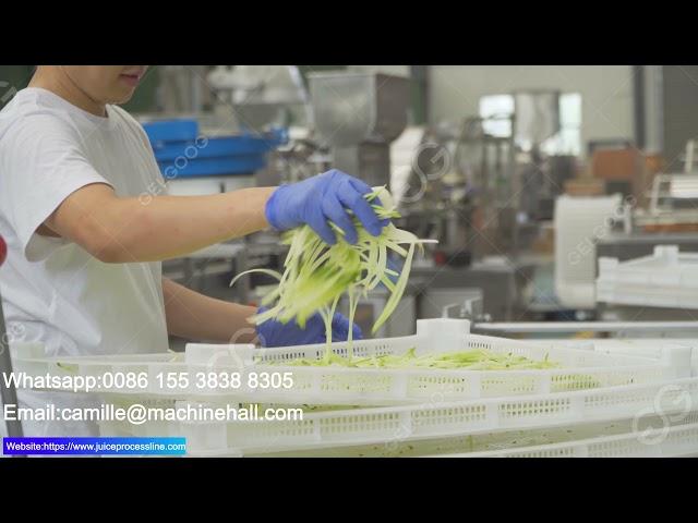 Dehydrated Vegetables Radish Slices Production Line