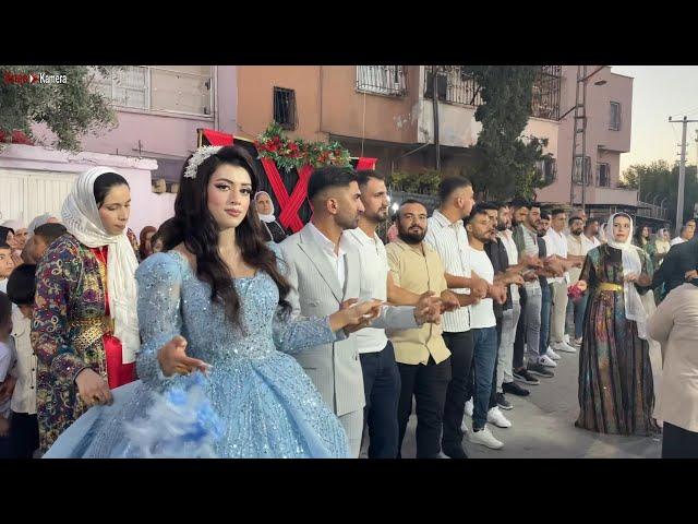 Gelin Hanım Başı Çekiyor - Harika Bir Nişan Videosu - Halay - Kurdish Wedding - Tofan Erdal