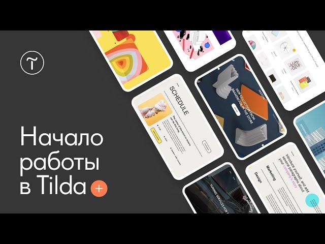 Как создать сайт на Тильде. Начало работы. 29.03.2022