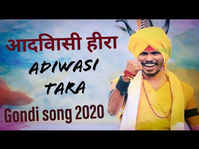 Adivasi Tara Gondi Song 2020 | Ravi meshram | Jai heera