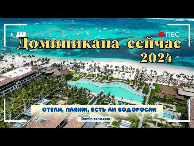 Доминикана сейчас 2024: отели, пляжи, есть ли водоросли - iDominicana.com