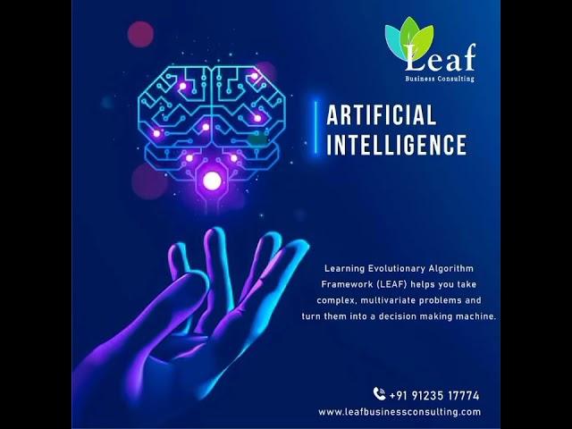 Leaf Business Consulting Services