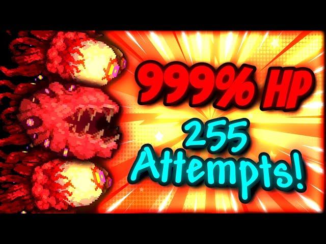 Infernum Wall of Flesh (999% HP)