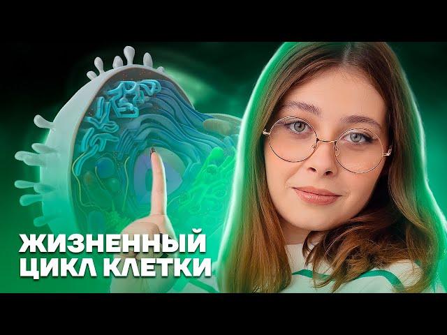 Жизненный цикл клетки | Биология ЕГЭ для 10 класса | Умскул