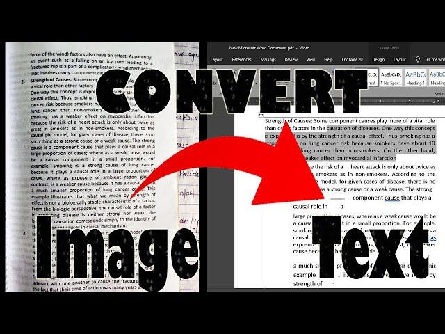 Convert Image to Text in Microsoft Word